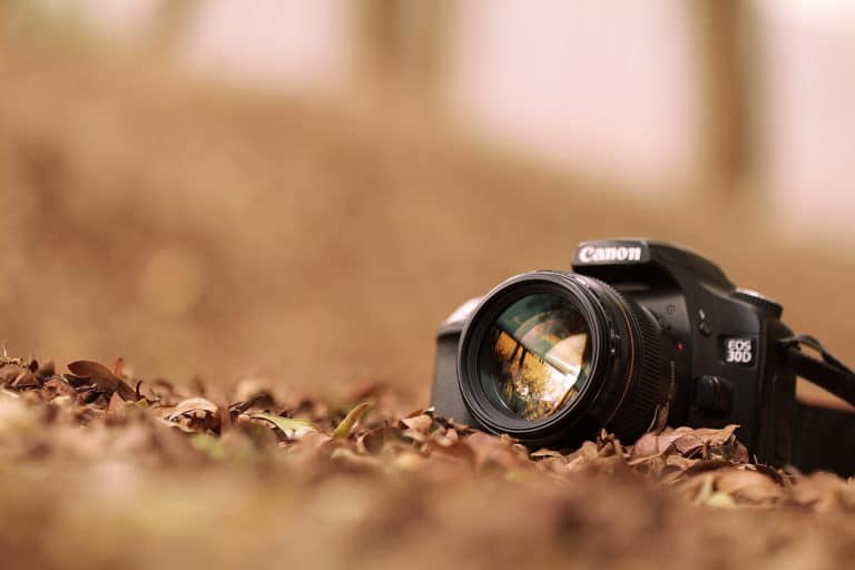 Les meilleurs appareils photo pour les adeptes de photographie