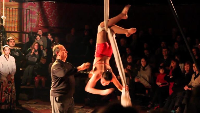 Assister à un spectacle de cirque tzigane