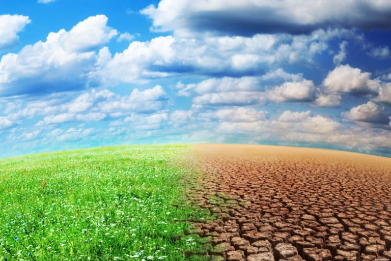 Plaqueomatic.fr : une campagne pour le climat
