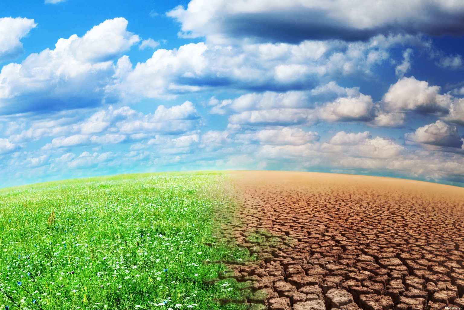 Plaqueomatic.fr : une campagne pour le climat