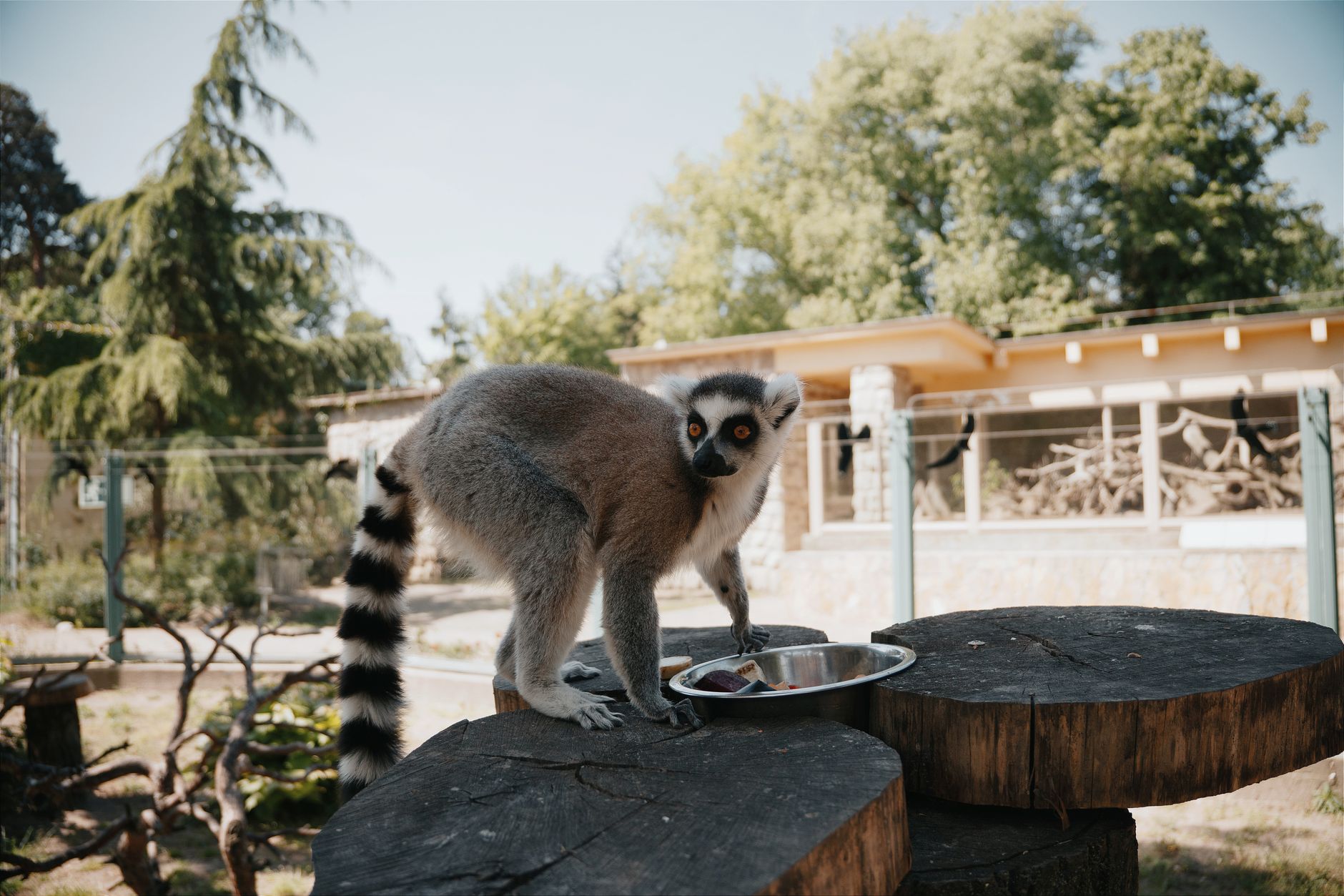 Quels sont les parcs animaliers à découvrir en famille ?