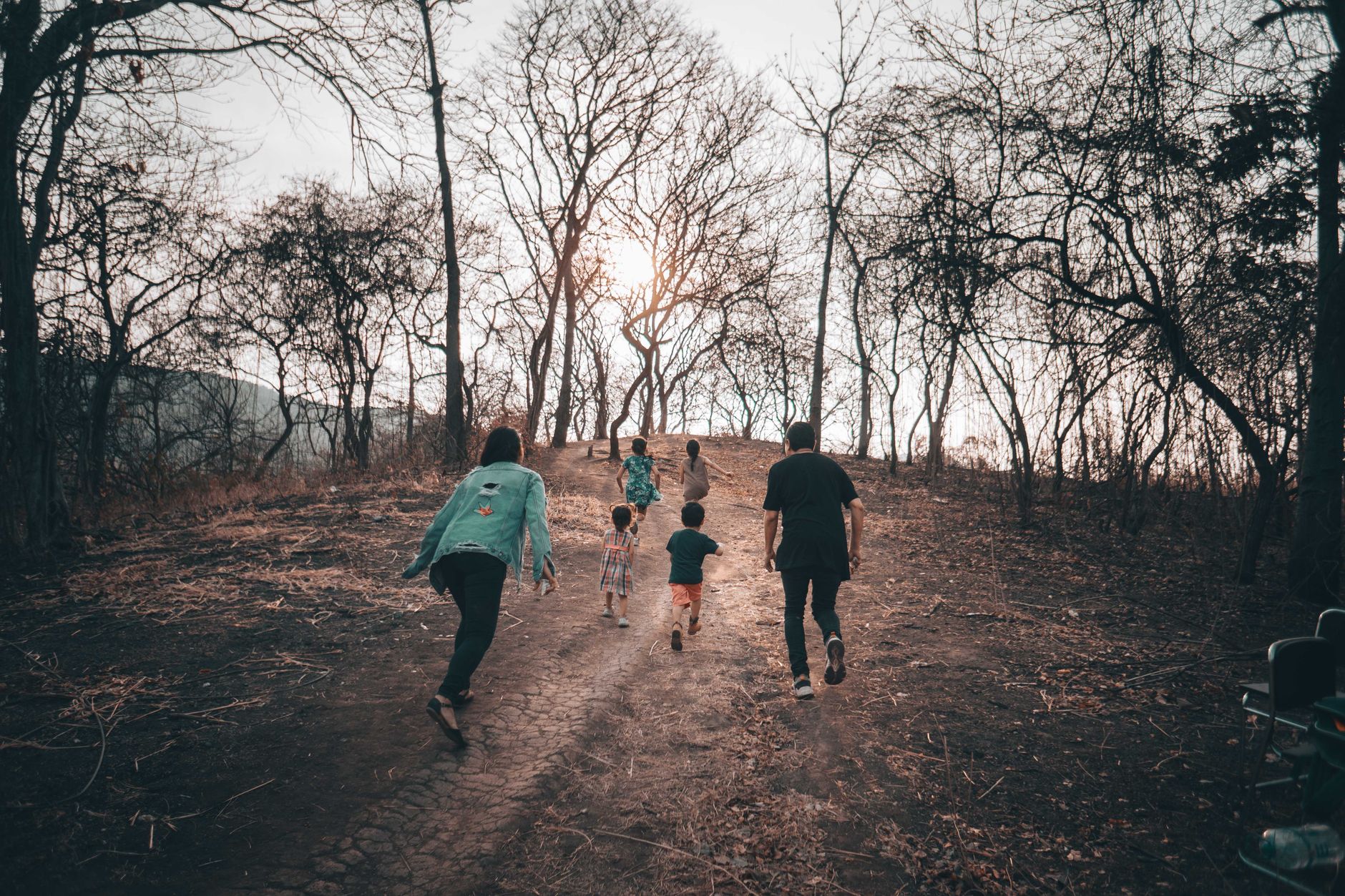 Quelles sont les meilleures randonnées familiales pour profiter de la nature ensemble ?