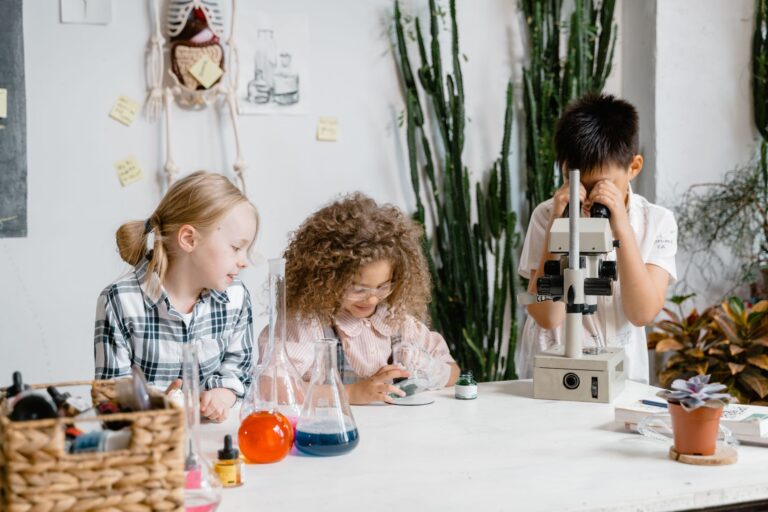 Quelles sont les sorties pédagogiques et amusantes pour petits et grands ?