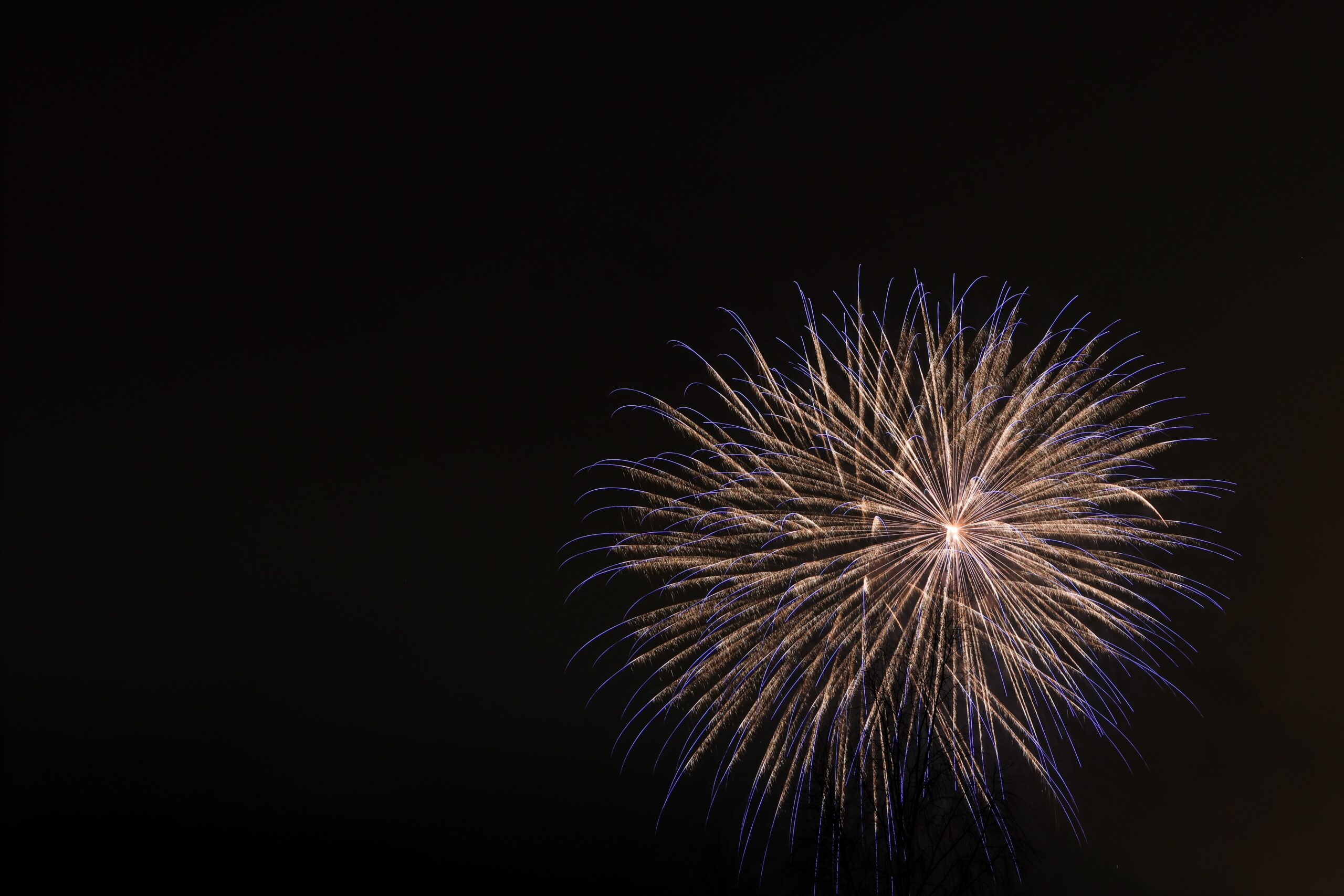 Feux d’artifice colorés dans un ciel nocturne.